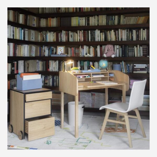 Bureau et bibliothèque Maison Canali